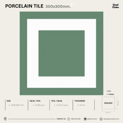 F30513 Porcelain Series